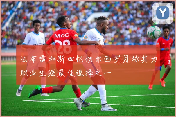 法布雷加斯回忆切尔西岁月称其为职业生涯最佳选择之一