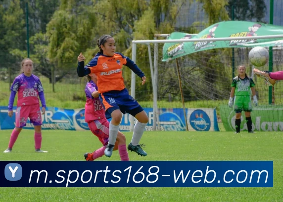 168体育服务体系